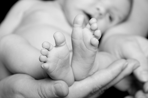 Newborn session studio on-location portrait family