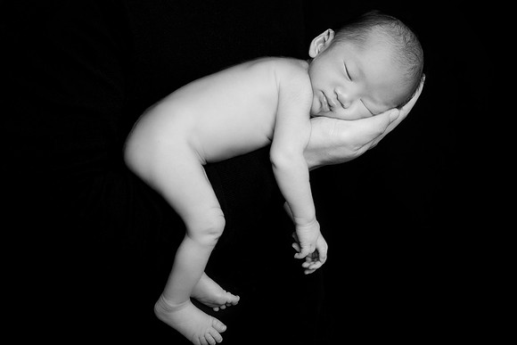 Newborn session studio on-location portrait family