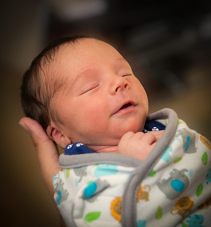 Newborn session studio on-location portrait family