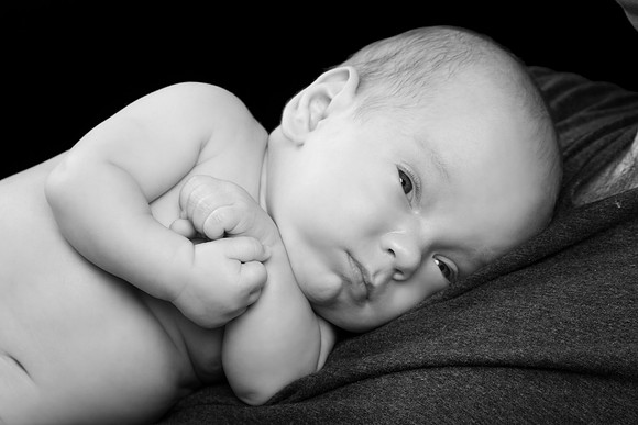 newborn session studio white background