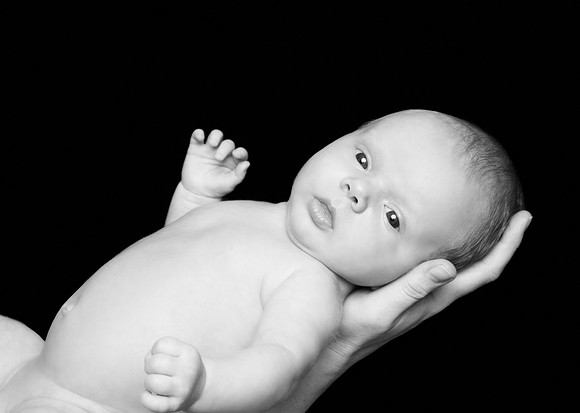 NewBorn session studio Sunnyvale Terrificshot photography