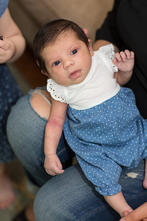 newborn family session sunnyvale terrificshot Photography