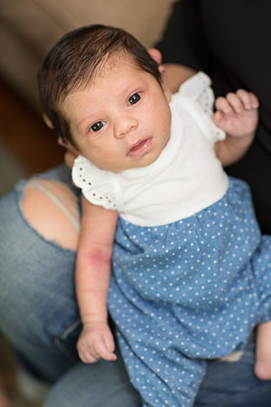 newborn family session sunnyvale terrificshot Photography