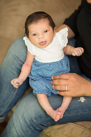 newborn family session sunnyvale terrificshot Photography