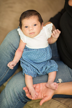 newborn family session sunnyvale terrificshot Photography
