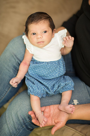 newborn family session sunnyvale terrificshot Photography