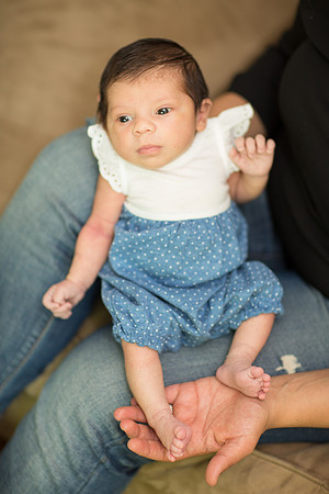 newborn family session sunnyvale terrificshot Photography