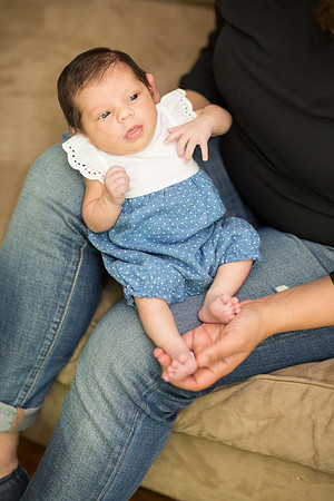 newborn family session sunnyvale terrificshot Photography