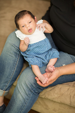 newborn family session sunnyvale terrificshot Photography