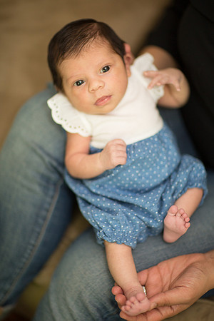 newborn family session sunnyvale terrificshot Photography