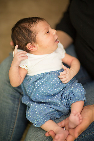 newborn family session sunnyvale terrificshot Photography