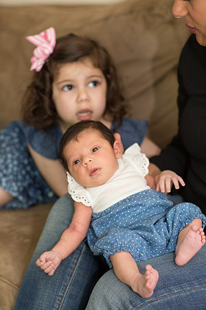 newborn family session sunnyvale terrificshot Photography