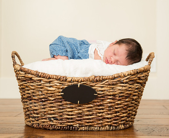 newborn family session sunnyvale terrificshot Photography
