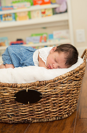 newborn family session sunnyvale terrificshot Photography