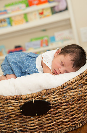newborn family session sunnyvale terrificshot Photography