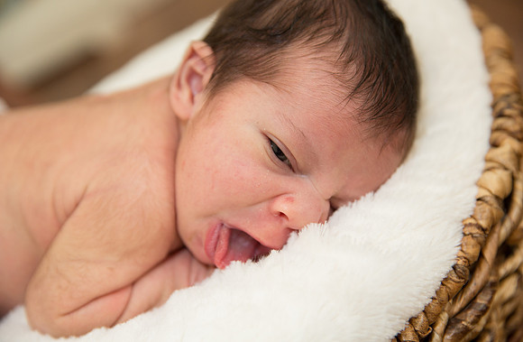 newborn family session sunnyvale terrificshot Photography
