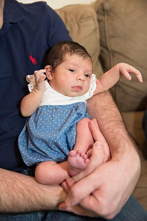 newborn family session sunnyvale terrificshot Photography