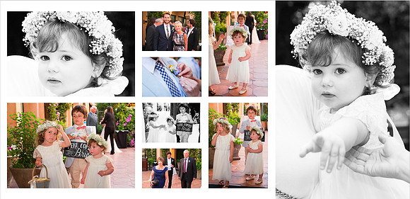 wedding event  bride sunnyvale Photography terrificshot