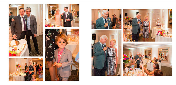 wedding event  bride sunnyvale Photography terrificshot