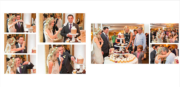 wedding event  bride sunnyvale Photography terrificshot