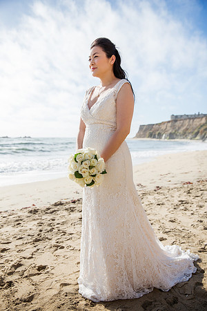 wedding ceremony half moon bay bay area terrificshot Photography