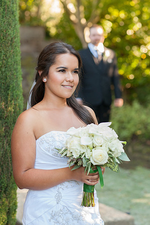wedding client home Sunnyvale Terrificshot Photography