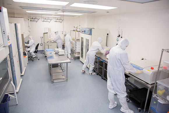 corporate business labs product
