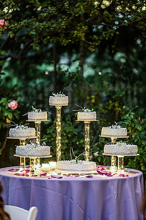Wedding Rengstorff Shoreline mountain view bay area