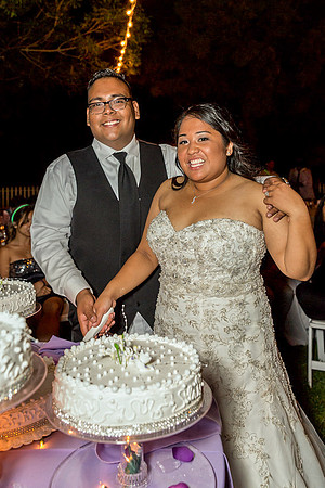 Wedding Rengstorff Shoreline mountain view bay area