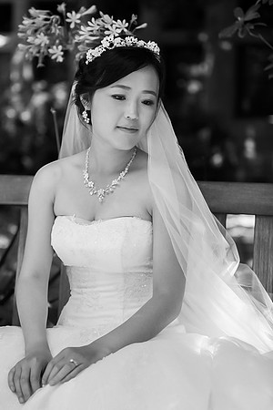 Wedding standford bay area
