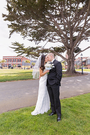 Wedding san francisco city hall  bay area
