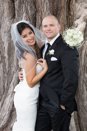 Wedding san francisco city hall  bay area