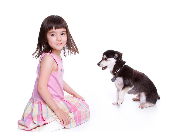 Pet Portrait studio photography