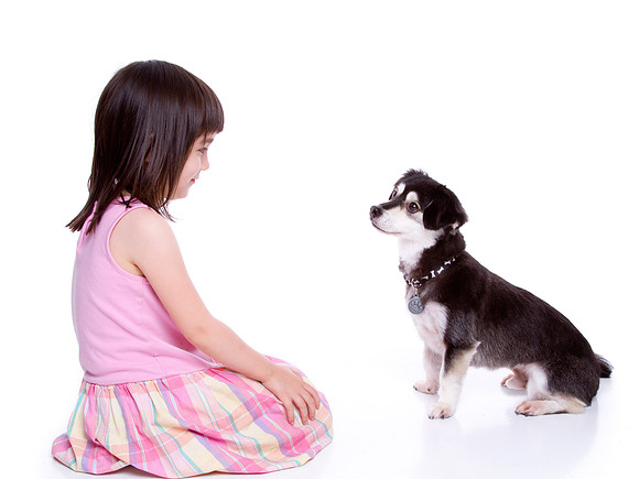 Pet Portrait studio photography