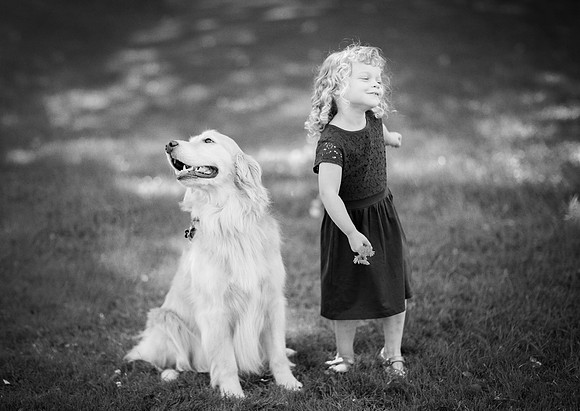 Pet Portrait studio photography