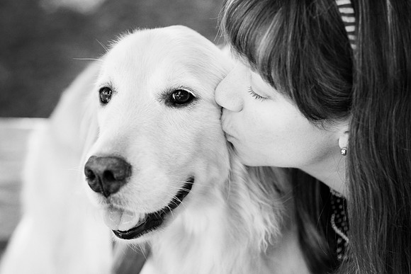 Pet Portrait studio photography