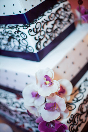 wedding ceremony  photography bay area