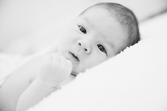 newborn session studio Terrificshot photography bay area sunnyvale