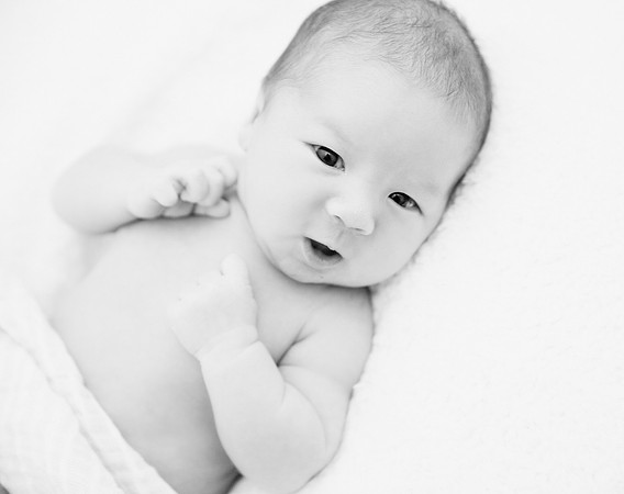 newborn session studio Terrificshot photography bay area sunnyvale