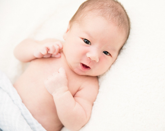 newborn session studio Terrificshot photography bay area sunnyvale