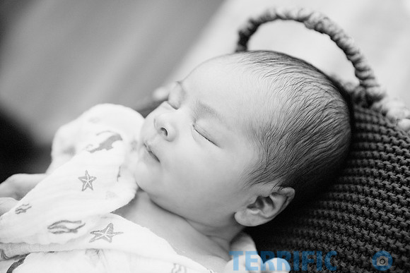 maternity studio portrait Terrificshot Photography