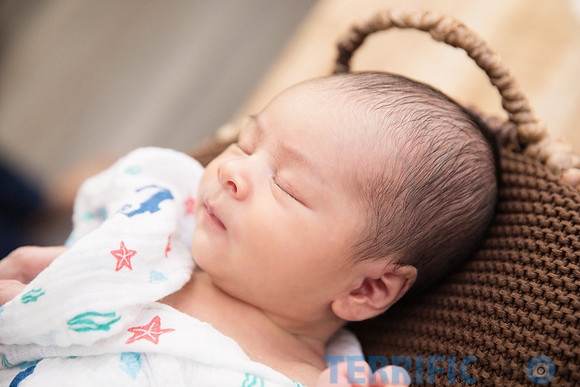 maternity studio portrait Terrificshot Photography