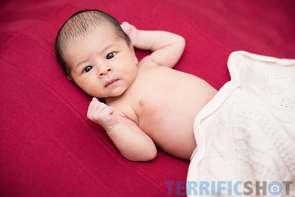 maternity studio portrait Terrificshot Photography