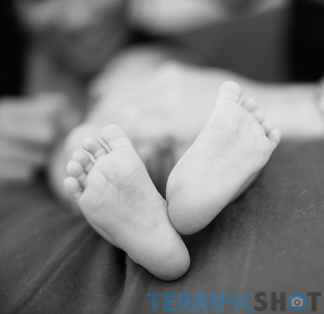 maternity studio portrait Terrificshot Photography
