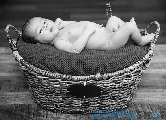 maternity studio portrait Terrificshot Photography