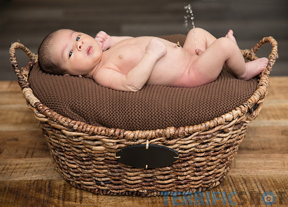 maternity studio portrait Terrificshot Photography