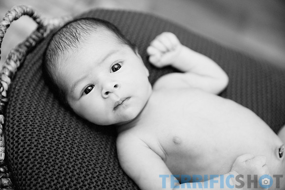 maternity studio portrait Terrificshot Photography