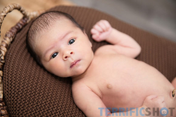 maternity studio portrait Terrificshot Photography