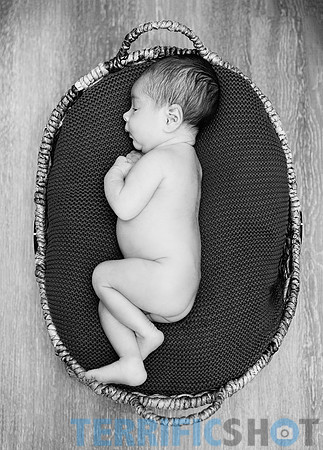maternity studio portrait Terrificshot Photography