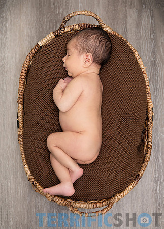 maternity studio portrait Terrificshot Photography